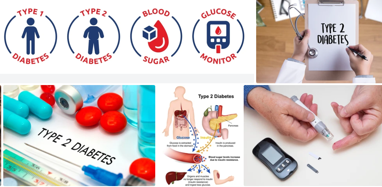 ANIMAL PROTEIN VERSUS PLANT PROTEIN FOR DIABETES