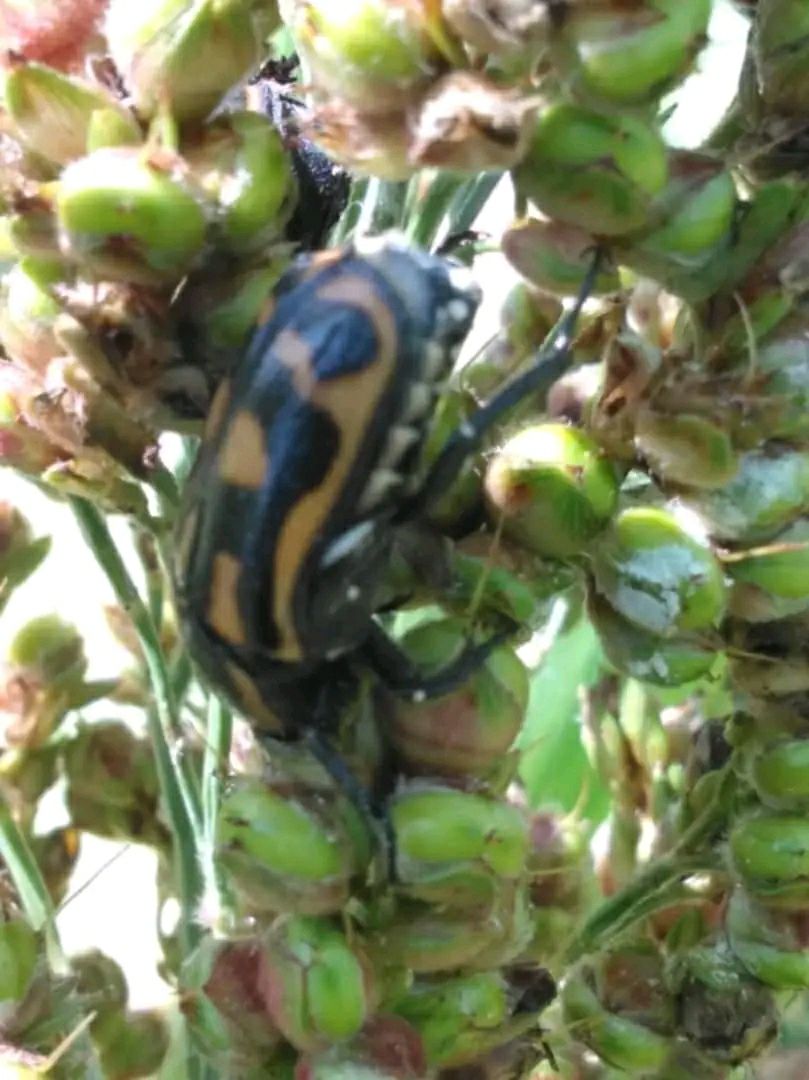 ካብ ፍፃመታት እዚ ዕለት….