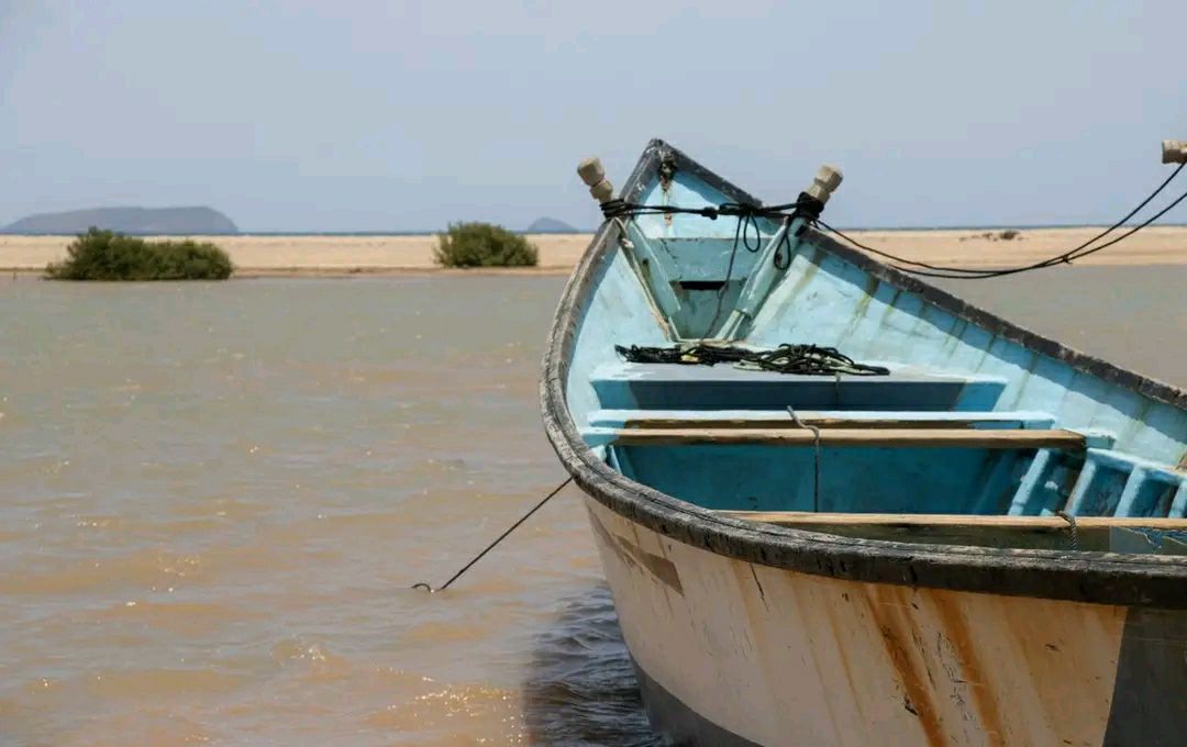 ኣብ ዝሓለፈ ኣብ ገማግም ባሕሪ ጁቡቲ ዝሞቱ ስደተኛታት መብዛሕትኦም ኢትዮጵያውያን ሙኻኖም ተሓቢሩ።